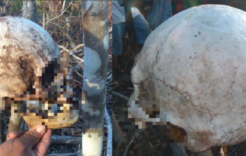  Restos óseos de humano fueron encontrados en una finca de Lamas