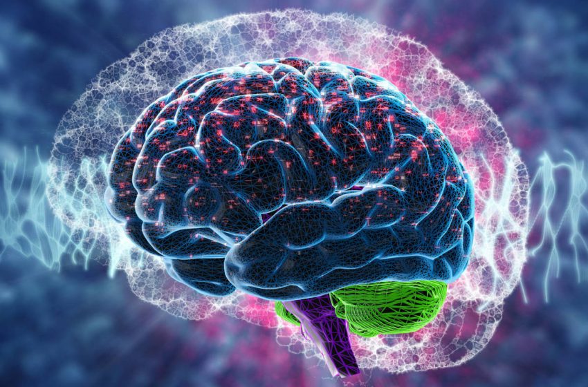  Estudio concluye que escuchar reguetón provoca mayor actividad cerebral que escuchar música clásica