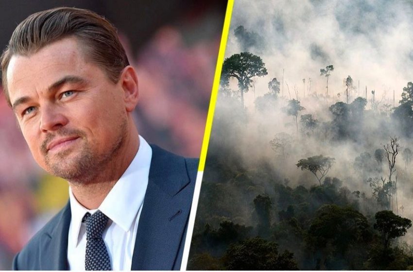  Leonardo DiCaprio denuncia tala ilegal que afecta comunidad de Ucayali